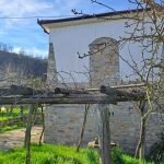 Apartment Canelli - photo 3