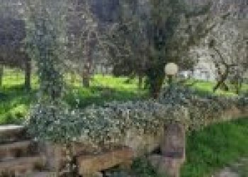 Appartamento Canelli - foto 29