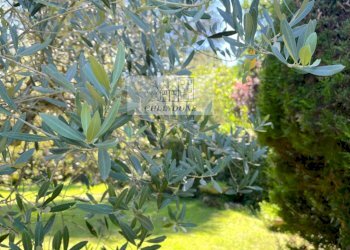 Foto 45 - Villa Vejano - foto 45