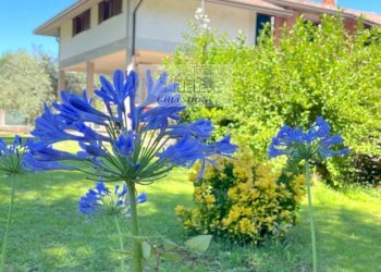 Foto 53 - Villa Vejano - foto 53