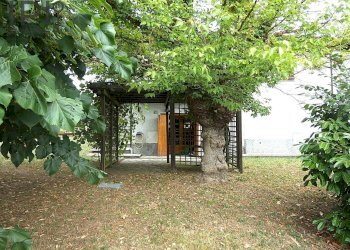 giardino e terreno - Casa semi indipendente località pra di cu, Piana Crixia - foto 22