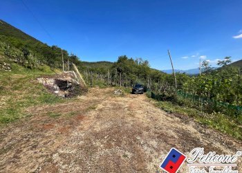 Foto 3 - Casa indipendente Vallecorsa - foto 3