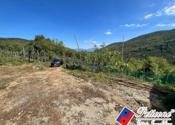 Foto 4 - Casa indipendente Vallecorsa - foto 4