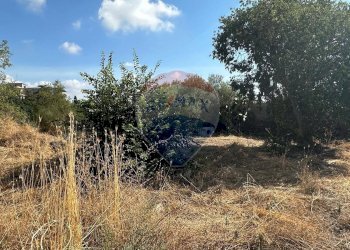 Giardino - Terreno edificabile CONTRADA MONTI ARSI
 
snc, Gravina di Catania - foto 3