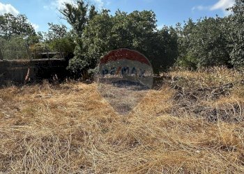Giardino - Terreno edificabile CONTRADA MONTI ARSI
 
snc, Gravina di Catania - foto 4