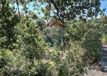 Non correlato - Terreno edificabile CONTRADA MONTI ARSI
 
snc, Gravina di Catania - foto 5