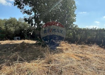 Giardino - Terreno edificabile CONTRADA MONTI ARSI
 
snc, Gravina di Catania - foto 6