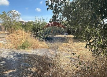 Giardino - Terreno edificabile CONTRADA MONTI ARSI
 
snc, Gravina di Catania - foto 7