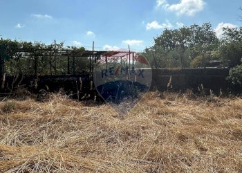 Giardino - Terreno edificabile CONTRADA MONTI ARSI
 
snc, Gravina di Catania - foto 11