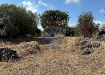 Giardino - Terreno edificabile CONTRADA MONTI ARSI
 
snc, Gravina di Catania - foto 12