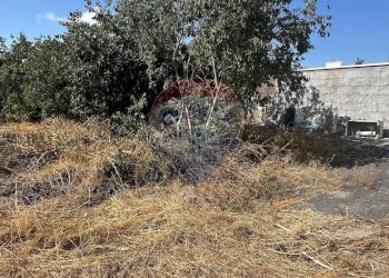 Giardino - Terreno edificabile CONTRADA MONTI ARSI
 
snc, Gravina di Catania - foto 13