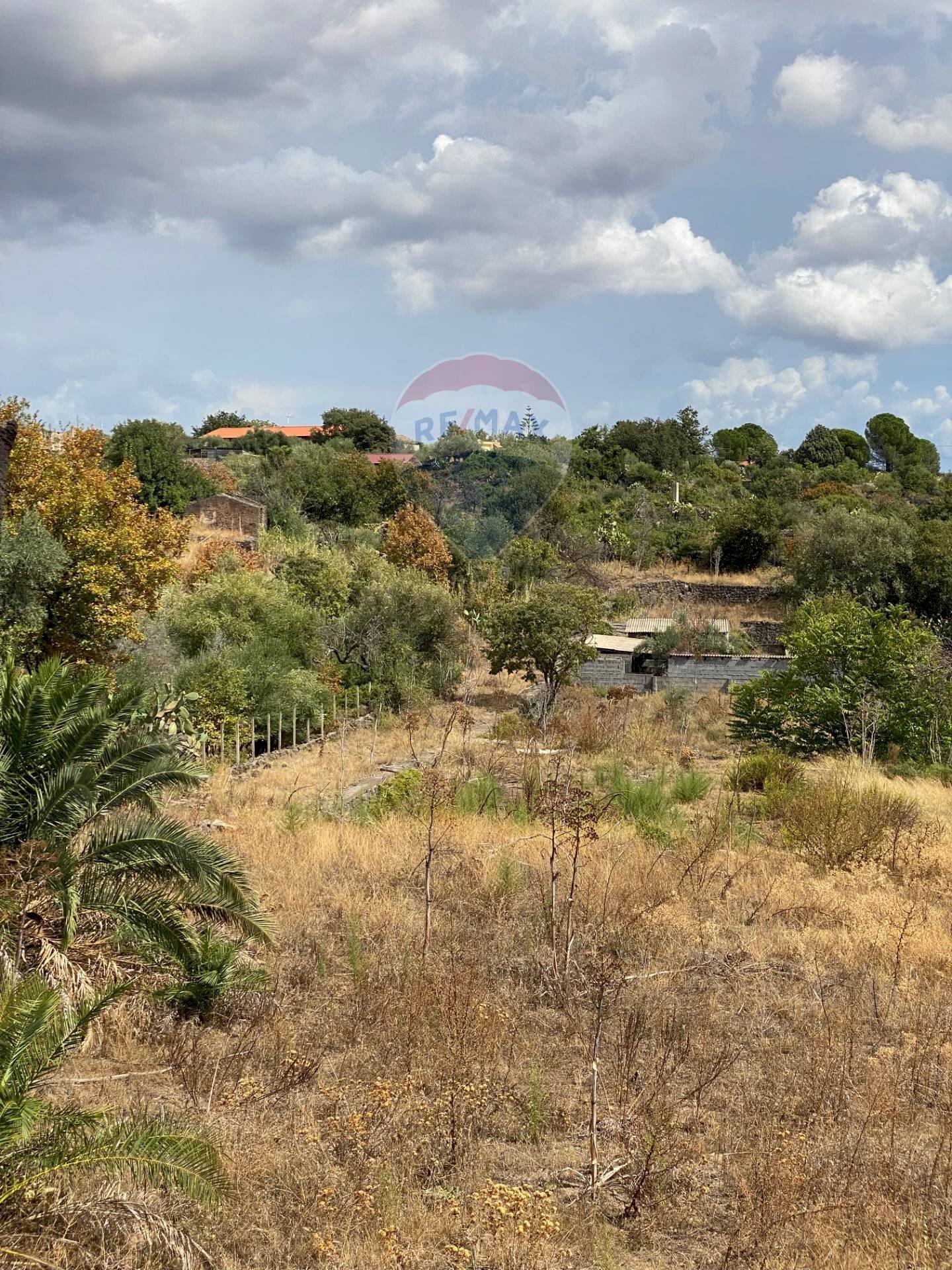 Vista delle montagne - Agricultural land Cava dei Modicani
 
snc, Ragusa - photo 2