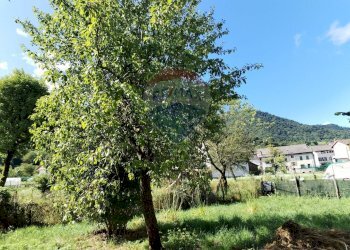 Giardino - Semi-detached house Via Damiano Chiesa, Seren del Grappa - photo 11