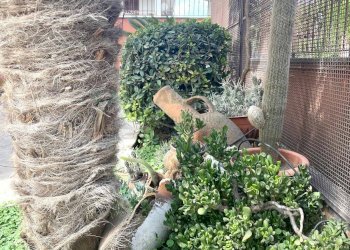 Foto 9 - Villa VIA CUTONE, Pomigliano d'Arco - foto 9