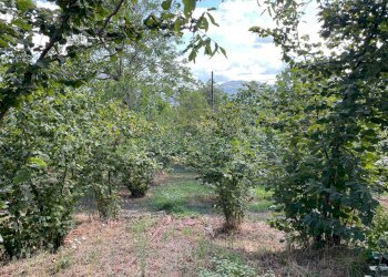 Foto 21 - Quadrilocale Via Ponticelli, Avellino - foto 21