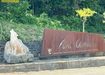 Foto 15 - Appartamento Fano Adriano - foto 15