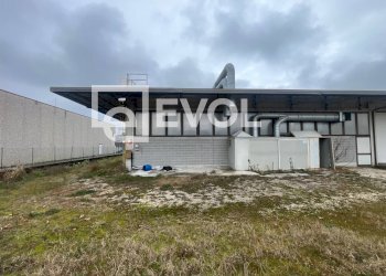 Foto 14 - Capannone via del Cristo
 
21, Manzano - foto 14