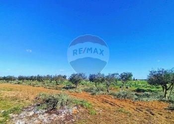 Non correlato - Villa Via Pilella
 
9, Brindisi - foto 18