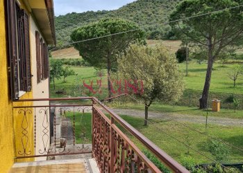 Foto 12 - Rustico Cinigiano - foto 12