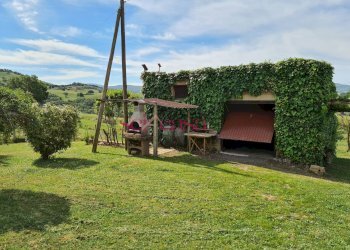 Foto 24 - Rustico Cinigiano - foto 24