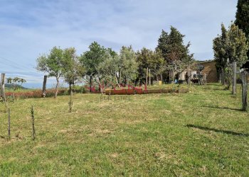 Foto 26 - Rustico Cinigiano - foto 26