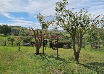 Foto 28 - Rustico Cinigiano - foto 28