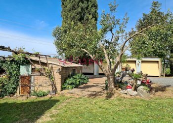 Foto 29 - Rustico Cinigiano - foto 29