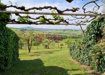 Foto 30 - Rustico Cinigiano - foto 30