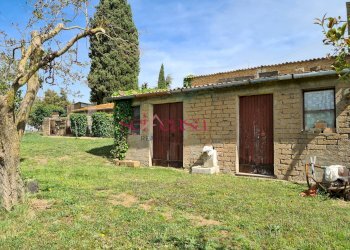 Foto 31 - Rustico Cinigiano - foto 31