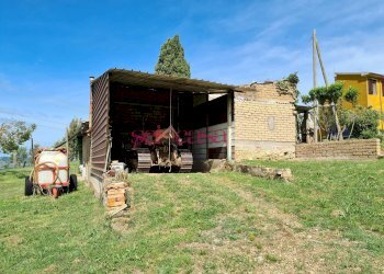 Foto 32 - Rustico Cinigiano - foto 32