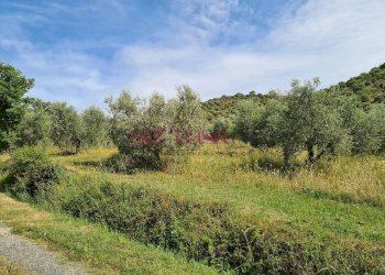 Foto 34 - Rustico Cinigiano - foto 34