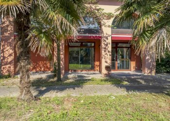 Negozio Legnaro - foto 7