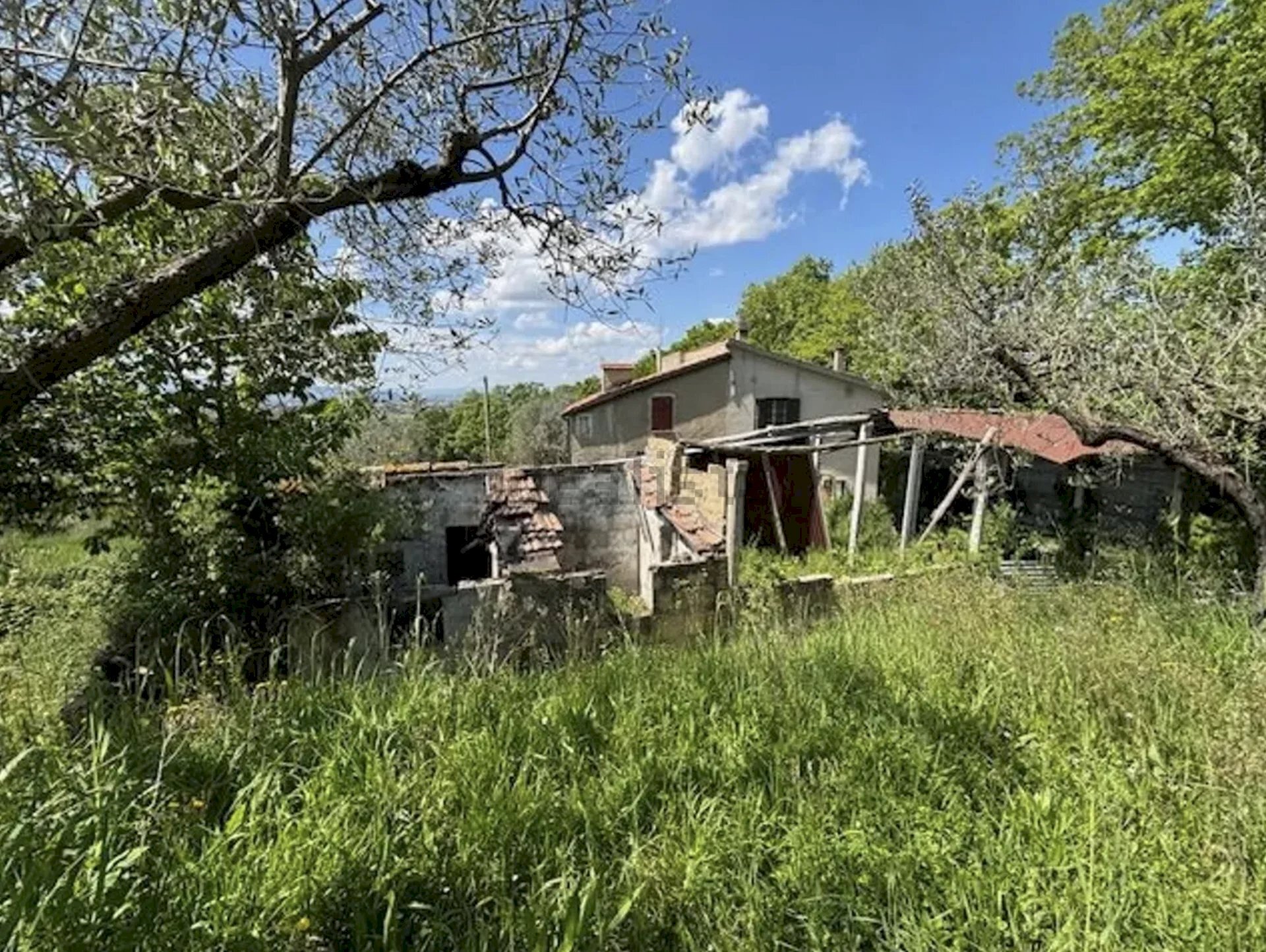 Villa Assisi - foto 3