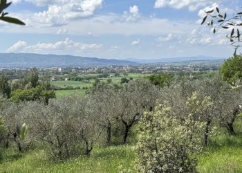 Villa Assisi - foto 2