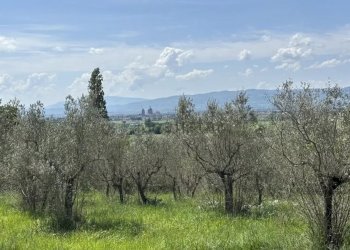 Villa Assisi - foto 6