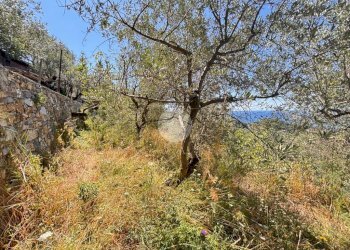 Casa semi indipendente Via Canneto di Apparizione, Genova (zona Apparizione) - foto 25