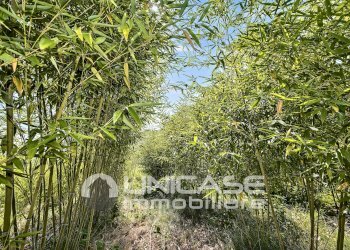 Terreno - Casa semi indipendente Via San Defendente, 88, Bagnolo Piemonte - foto 9