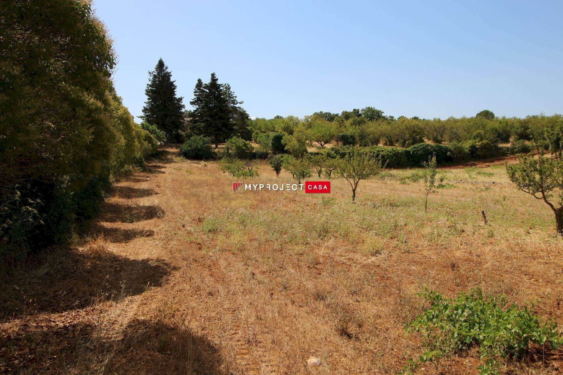 Terreno edificabile Paretone, Martina Franca - foto 1