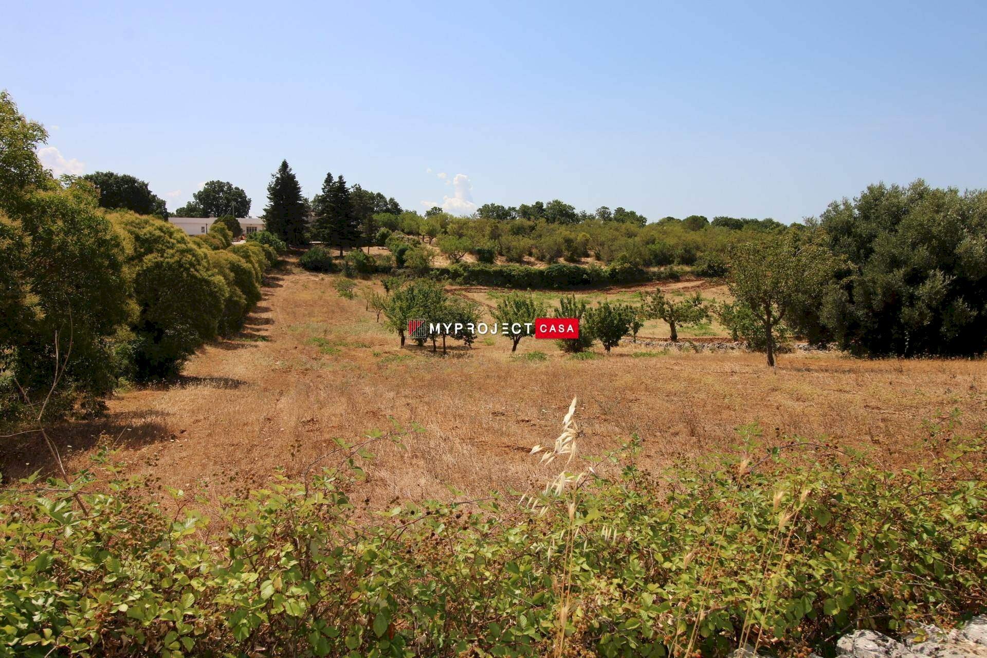Terreno edificabile Paretone, Martina Franca - foto 3