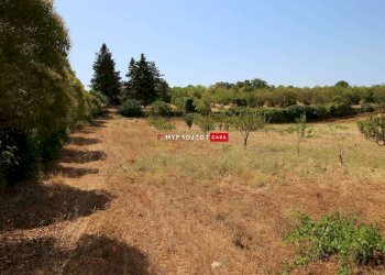 Terreno edificabile Paretone, Martina Franca - foto 1