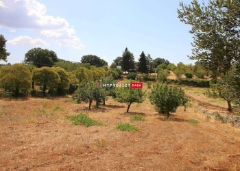 Terreno edificabile Paretone, Martina Franca - foto 2