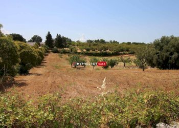 Terreno edificabile Paretone, Martina Franca - foto 3
