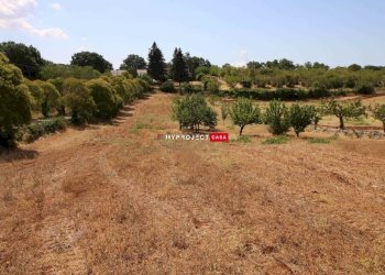Terreno edificabile Paretone, Martina Franca - foto 5