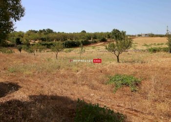Terreno edificabile Paretone, Martina Franca - foto 7