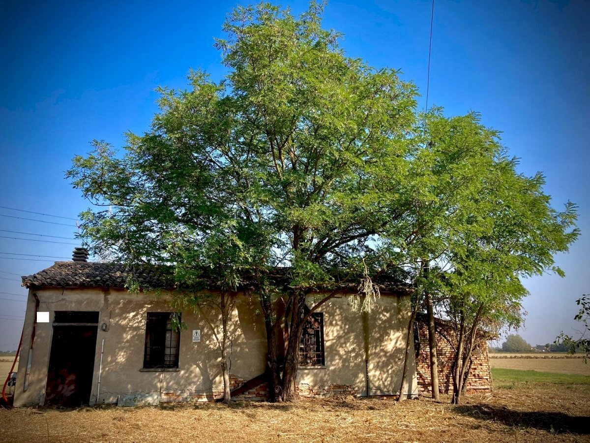 Casa indipendente Ravenna (zona San Biagio) - foto 2