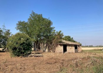 Casa indipendente Ravenna (zona San Biagio) - foto 1