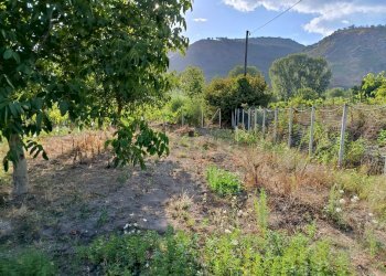 Foto 9 - Terreno agricolo via Gramsci, Montoro - foto 9