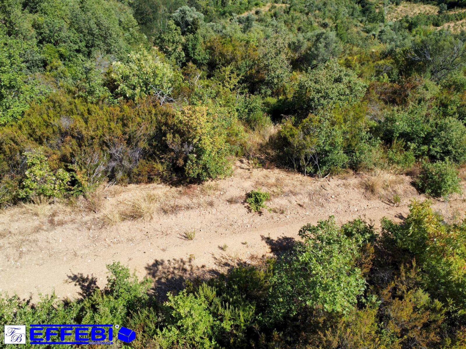 Foto 2 - Agriturismo CONTRADA PANTANELLA, Luzzi - photo 2