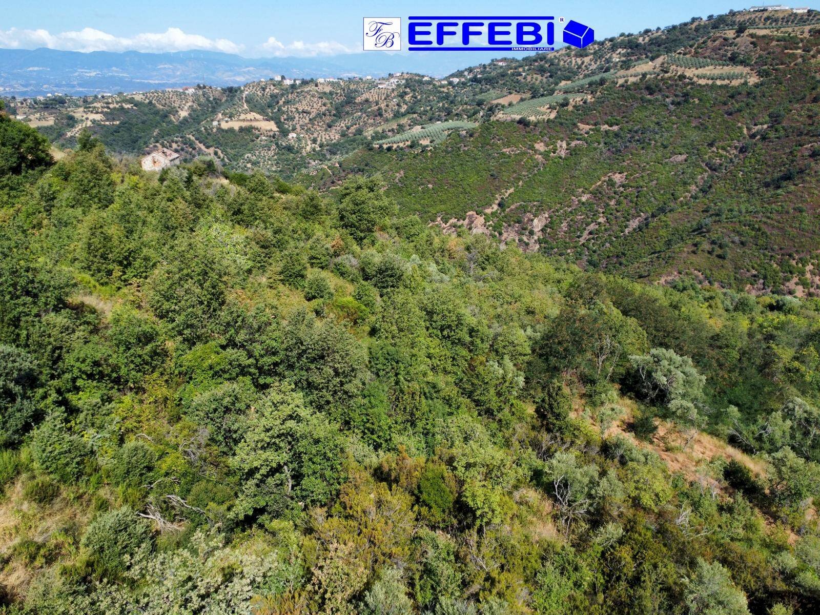 Foto 3 - Agriturismo CONTRADA PANTANELLA, Luzzi - photo 3