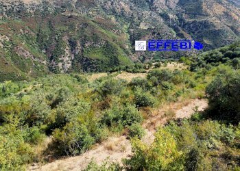 Foto 1 - Agriturismo CONTRADA PANTANELLA, Luzzi - foto 1